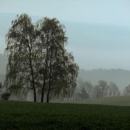 Landhotel Windlicht Krombach  Buitenkant foto